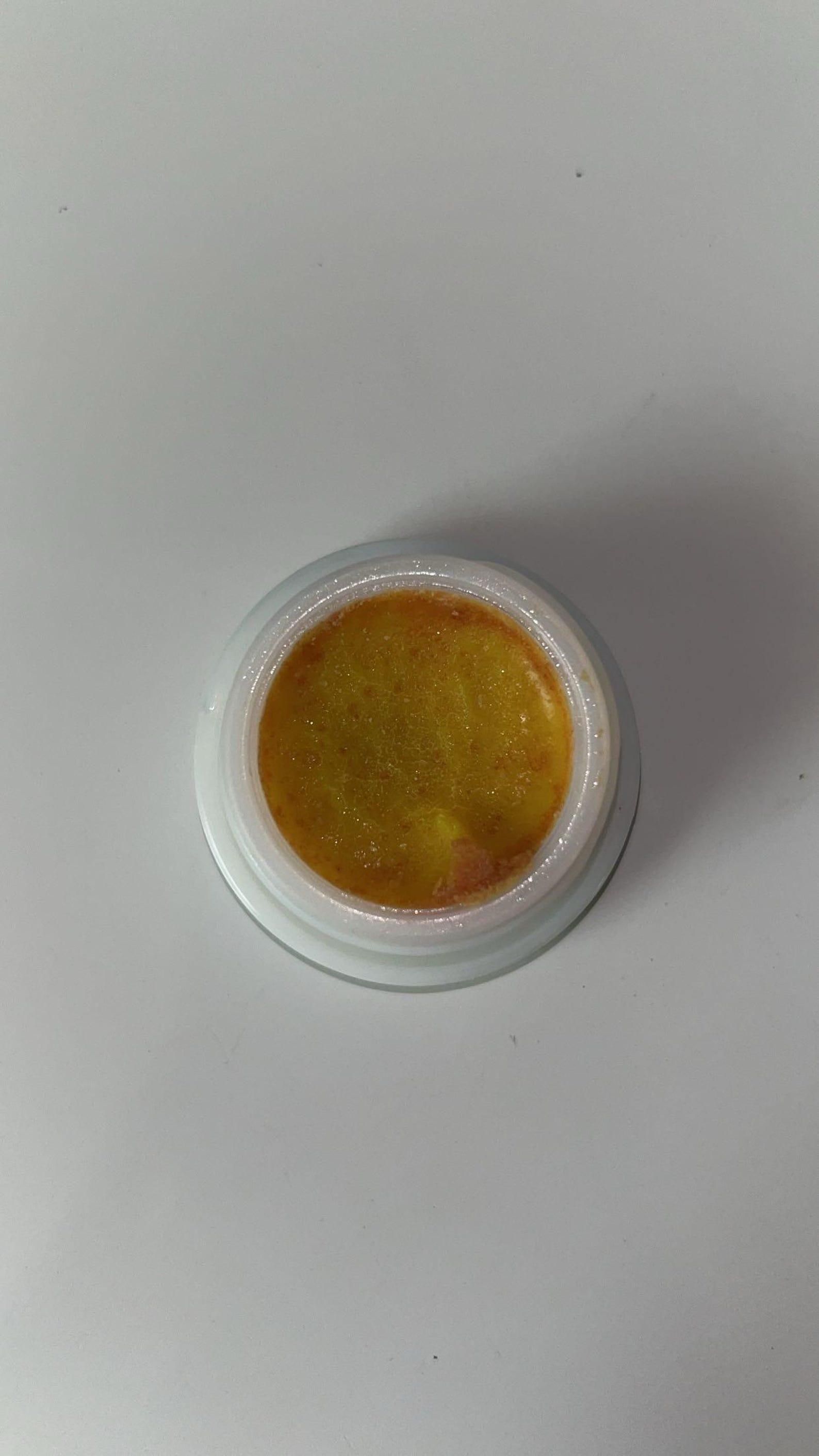 Nextores | Advanced Cockroach Defense Gel (Pack of 2) - Professional Colony Eliminator & Home Hygiene Solution